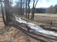 Photo Jo Boyer 022