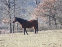Photo Jo Boyer 027