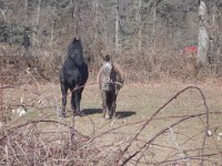 Photo Jo Boyer 029