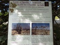 Terroir et vignoble de Vacqueras 31
